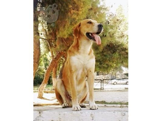 PoulaTo: Χαριζεται το γλυκος μας Κασπερ♥